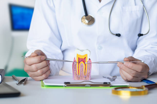 Best Broken Tooth Emergency  in Windsor, VA